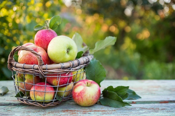 Jablko jako superpotravina | Proč se doporučuje konzumace jablka?